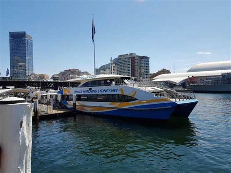 manly fast ferry smart card fares|manly fast ferry timetable.